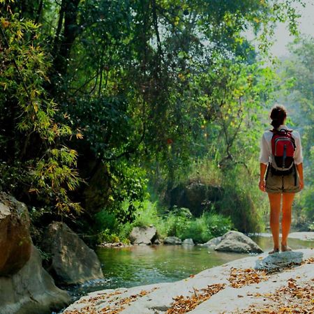 Vin Roma Inn Kandy Ngoại thất bức ảnh