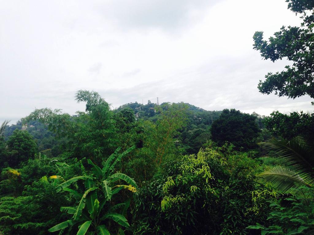 Vin Roma Inn Kandy Ngoại thất bức ảnh